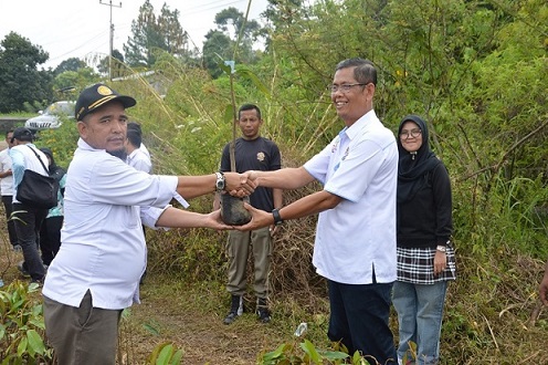 14Program Penghijauan Lingkungan berupa Bantuan Bibit Produktif di Kabupaten Solok Tahun 2018.jpg